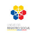 Registro Social - SIIRS