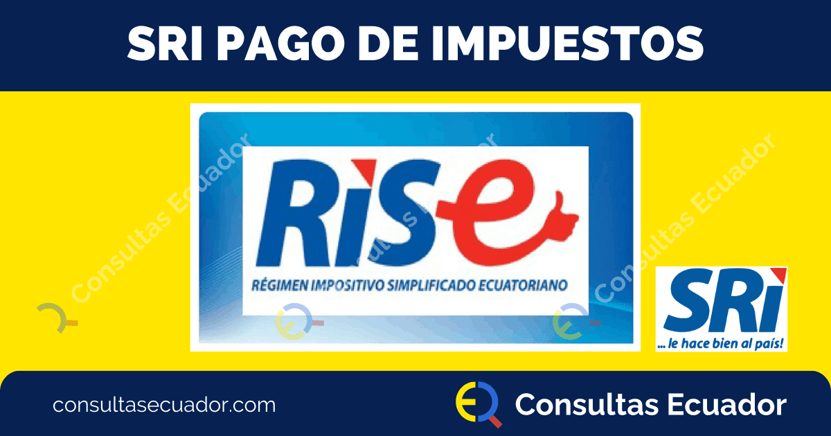 Pago de Impuestos Rise